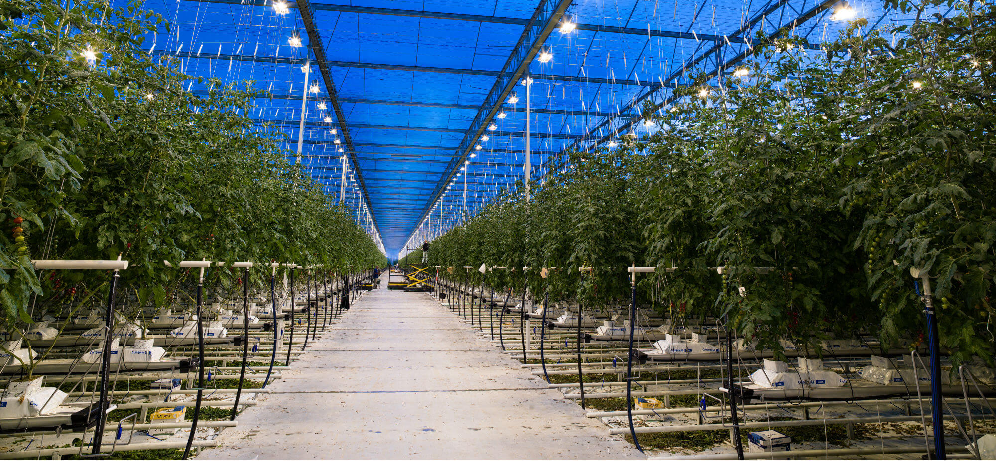 Tuinbouwbenodigdheden en systemen